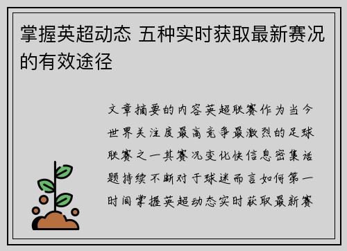 掌握英超动态 五种实时获取最新赛况的有效途径